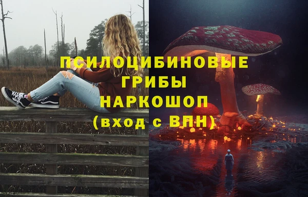 ECSTASY Армянск